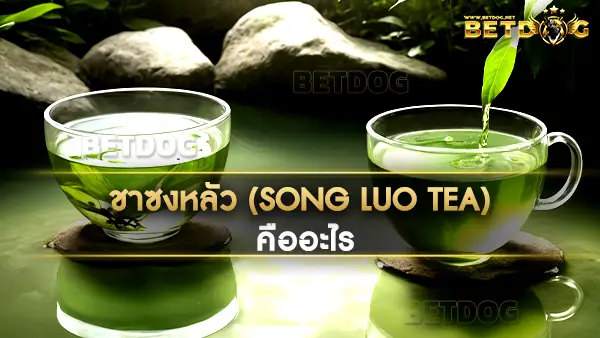 ชาซงหลัว (Song Luo Tea)