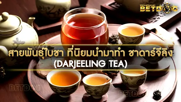 ชาดาร์จีลิง (Darjeeling Tea)