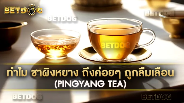 ชาผิงหยาง (Pingyang Tea)