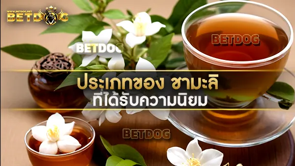 ชามะลิ (Jasmine Tea)