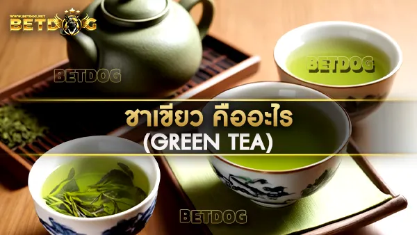 ชาเขียว (Green Tea)