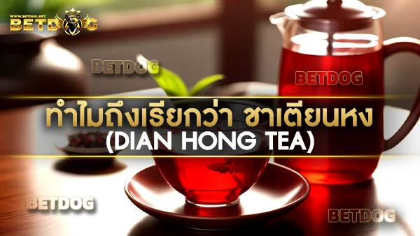 ชาเตียนหง (Dian Hong Tea)