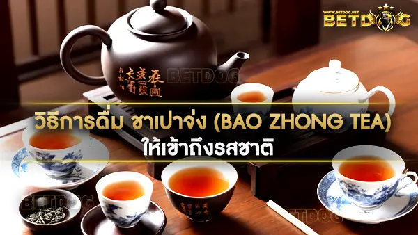 ชาเปาจ่ง (Bao zhong Tea)