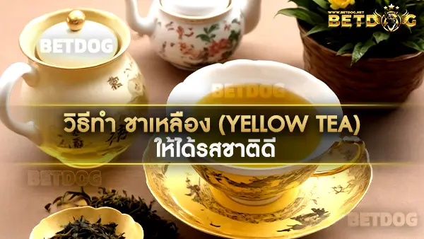 ชาเหลือง (Yellow Tea)