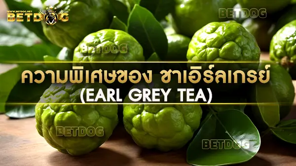 ชาเอิร์ลเกรย์ (Earl Grey Tea)