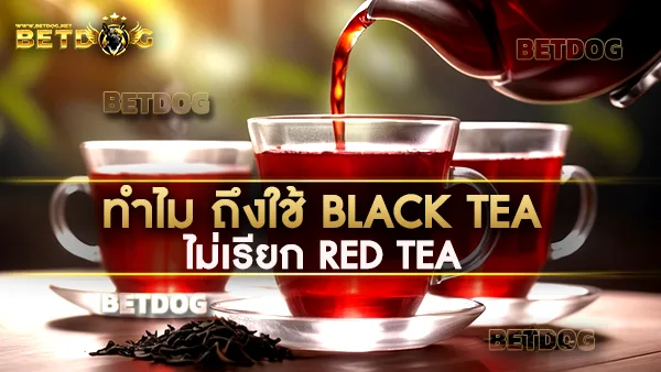 ชาแดง (Black Tea)
