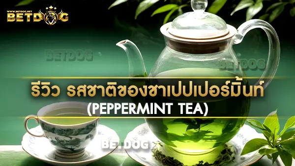 ชาเปปเปอร์มิ้นท์ (Peppermint Tea)