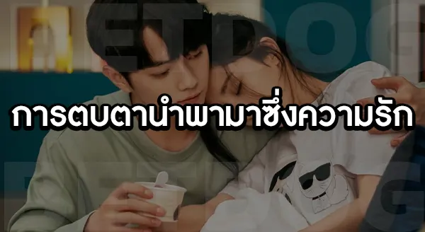 กฎล็อกลิขิตรัก