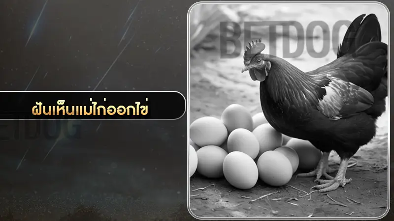 ฝันเห็นแม่ไก่ออกไข่