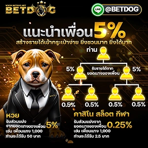 Betdog-Promotion4