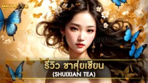 ชาสุ่ยเซียน (Shuixian Tea)