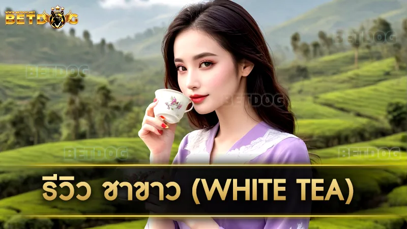 ชาขาว (White Tea)