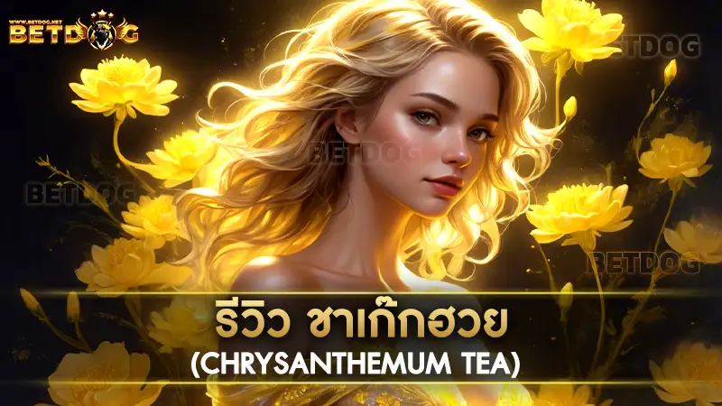 ชาเก๊กฮวย (Chrysanthemum Tea)