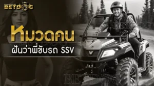 ฝันว่าพี่ขับรถ SSV