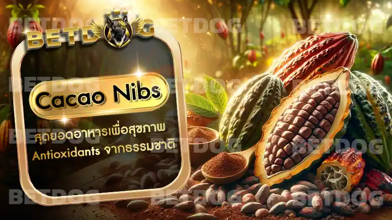 Cacao Nibs