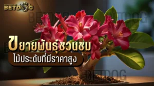 ขยายพันธุ์ชวนชม