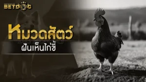 ฝันเห็นไก่ขี้