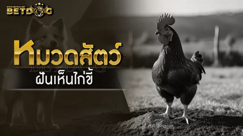 ฝันเห็นไก่ขี้