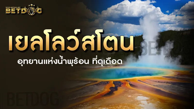 เยลโลว์สโตน