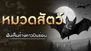 ฝันเห็นค้างคาวบินร่อน