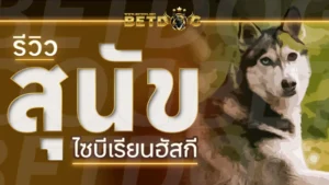 สุนัขไซบีเรียนฮัสกี