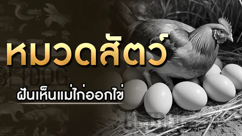 ฝันเห็นแม่ไก่ออกไข่