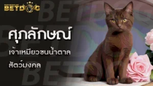 ศุภลักษณ์