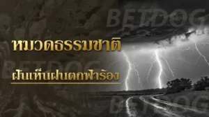 ฝันเห็นฝนตกฟ้าร้อง