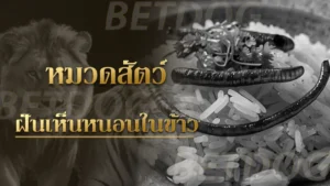 ฝันเห็นหนอนในข้าว