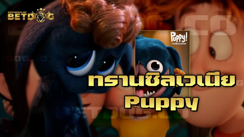 ทรานซิลเวเนีย Puppy