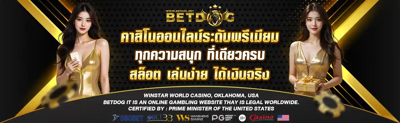 betdog